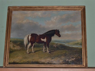 Lot 449 - Portrait of a coloured horse in a rocky landscape, oil on canvas