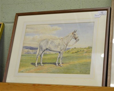Lot 12 - D M & E M Alderson framed watercolour of a grey hunter, dated 1951