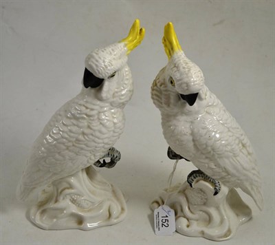 Lot 152 - A pair of J.T. Jones Staffordshire cockatiels