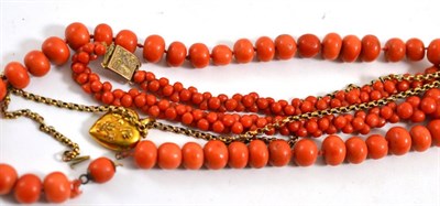 Lot 249 - A 15ct gold heart locket on a chain and two coral bead necklaces