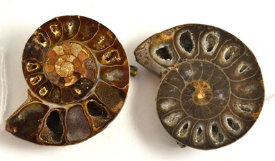 Lot 165 - A pair of ammonite fossil brooches