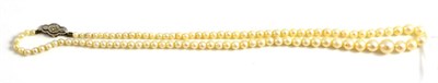 Lot 176 - A cultured pearl necklace