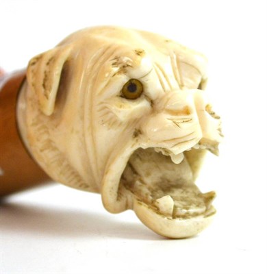 Lot 255 - A late 19th century carved ivory cane handle, realistically carved as a dog's head