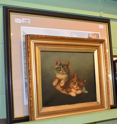 Lot 1186 - British School (19th century), a study of two kittens, indistinctly signed, oil on canvas, together