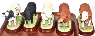 Lot 284 - Border Fine Arts Studio 'County Show' Cattle figures comprising: 'Charolais Bull', model No. A0738