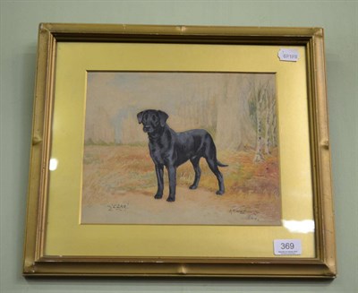 Lot 369 - Reuben Ward Binks, portrait of a black Labrador ";Czar";, watercolour, signed and dated 1924