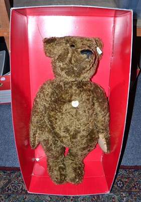 Lot 682 - Modern 1907 Steiff replica bear in dark brown mohair, in original box