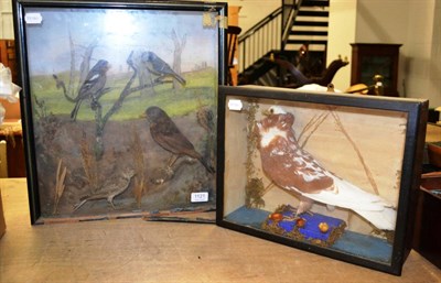 Lot 1121 - Two cased sets of birds