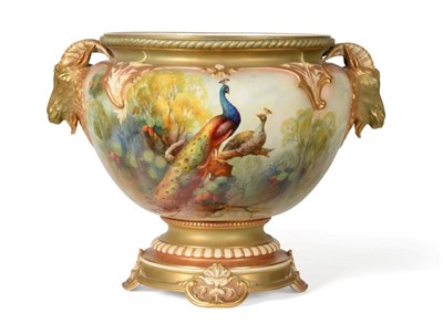 Lot 42 - A Royal Worcester Porcelain Jardinière, 1911, painted by A Shuck with peacocks and hens...