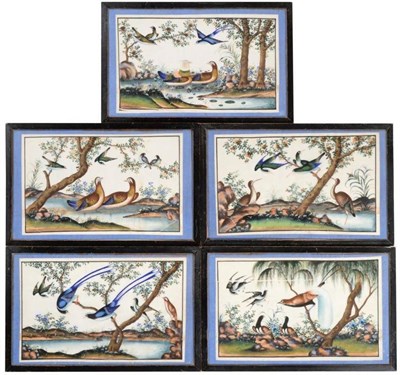 Lot 89 - A Set of Five Chinese Pith Paintings, 19th century, depicting birds in landscape, 18cm by...