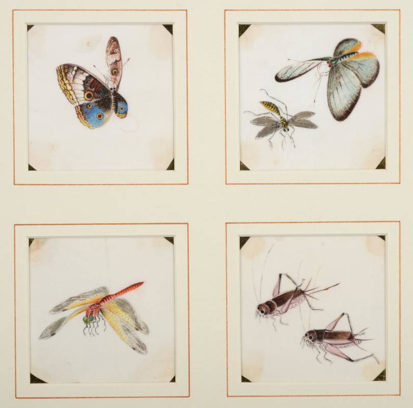 Lot 91 - A Set of Sixteen Chinese Pith Paintings, 19th century, as studies of butterflies and other insects