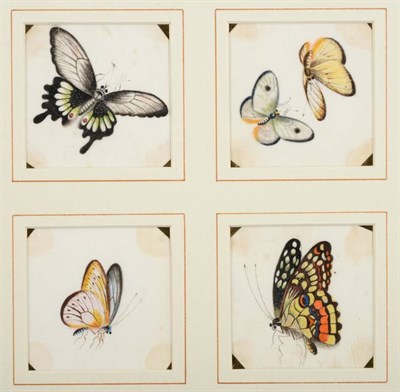 Lot 92 - A Set of Sixteen Chinese Pith Paintings, 19th century, as studies of butterflies and other insects