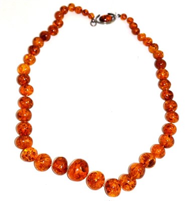 Lot 75 - Large amber necklace