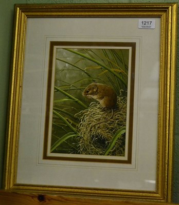 Lot 1217 - Ralph Waterhouse, A field mouse eating an ear of corn, signed, gouache