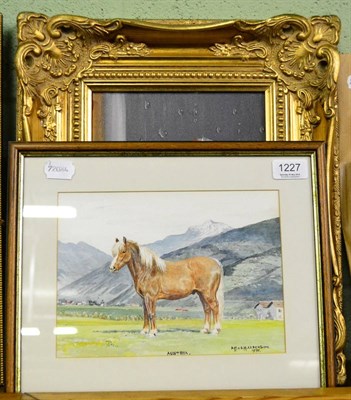 Lot 1227 - D M & E M Alderson study of a horse ";Austria"; and a modern oil on a hound by Hilary Mayes