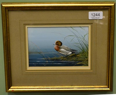 Lot 1244 - Ralph Waterhouse, a mallard on the bank of a river, signed, gouache