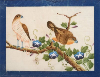 Lot 117 - A Set of Five Chinese Export Pith Paper Paintings, 19th century, depicting birds in branches and by