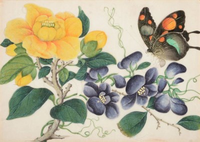 Lot 118 - A Matched Pair of Chinese Export Pith Paper Paintings, 19th century, painted with butterflies...