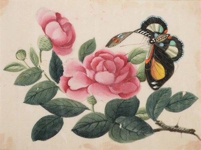 Lot 120 - A Set of Four Chinese Export Pith Paper Paintings, 19th century, painted with butterflies...