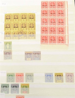 Lot 165 - British Solomon Islands. A 1907 to 1985 mint collection in a blue stockbook. Better include...