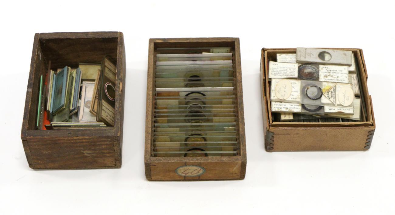 Lot 5165 - Prepared Microscope Slides including examples by Norman, Russell, Mason and others (qty)