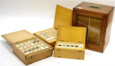 Lot 148 - Prepared Microscope Slides a collection contained in a 19 drawer cabinet and three wooden boxes...