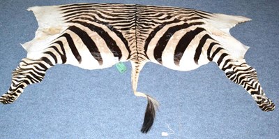 Lot 259 - Hartmann's Zebra (Equus zebra hartmannae), late 20th century, Namibia, half skin   With CITES label