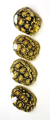 Lot 294 - Leopard Tortoise (Stigmochelys pardalis), four shells, each approximately 11.5cm long, 7cm high...