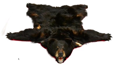 Lot 303 - American Black Bear (Ursus americanus), circa 2000, skin rug with head mount, jaw agape, on red and