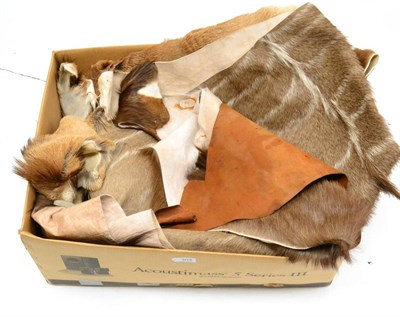 Lot 304 - Seven Sections of Animal Hide, including Pronghorn, Nyala and Hartebeest; and A Small Leather...