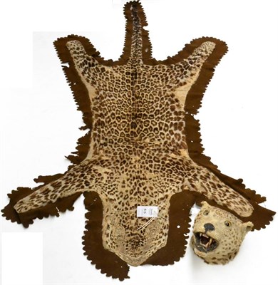 Lot 315 - Leopard (Panthera pardus), circa 1917, head mount with open mouth (a/f); and Leopard, flat skin...