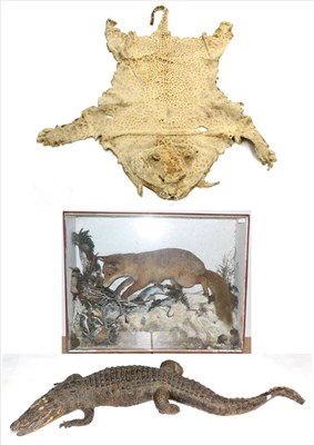 Lot 316 - A Large Victorian Taxidermy Fox Display Case, circa 1900, the fox attempting to dig out a...