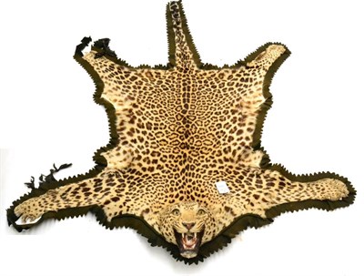 Lot 320 - Panther (Panthera pardus), circa 1930, female, skin rug with head mount, with open jaw, 190cm long