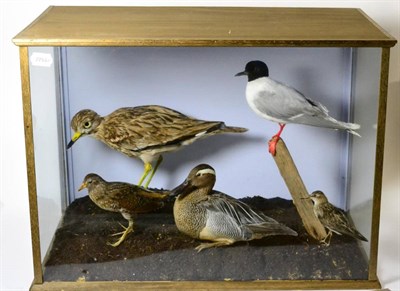 Lot 330 - A Group of Five Wading and Estuary Birds, circa 1960-70, comprising Eurasian Stone Curlew (Burhinus