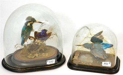 Lot 332 - Kingfisher (Alcedo atthis) and Azure Kingfisher (Alcedo azurea), Victorian, two full mounts, one in