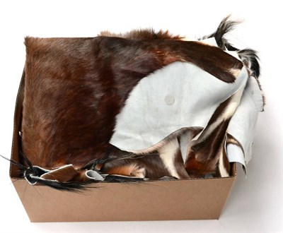 Lot 412 - Blesbok (Damaliscus pygargus phillipsi), twelve tanned skins