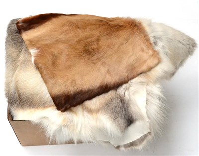 Lot 420 - Greenland Reindeer (Rangifer tarandus), skin rug; Three Kudu Skin Pillows; A Springbok Skin Pillow