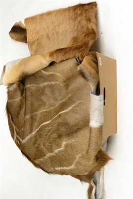 Lot 421 - Greater Kudu (Tragelaphus strepsiceros), two prepared skins; Two Hartebeest Skins (4)