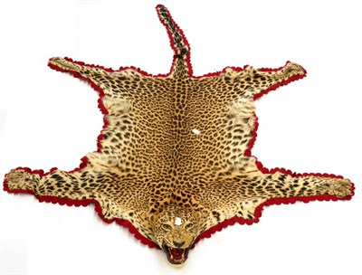 Lot 516 - Leopard (Panthera pardus), circa 1945, skin rug with head mount, with open jaw, attached to a...