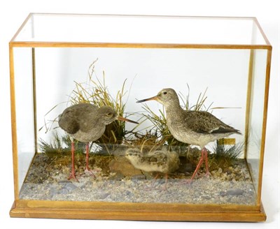 Lot 529 - Redshank (Tringa totanus), by H Murray of Carnforth, 1872-1961, male and female, two full...