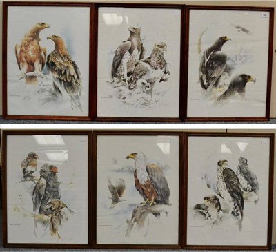 Lot 547 - Set of Six Oak Framed Prints of Various Eagles, by Joan Beuche dated 89