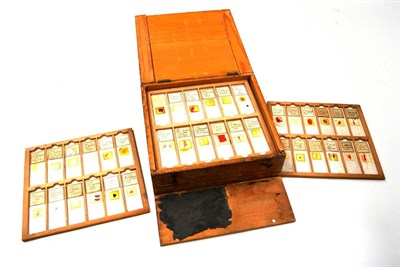 Lot 32 - Prepared Microscope Slide a collection of 11 tray containing 12 examples each and a 12th tray...