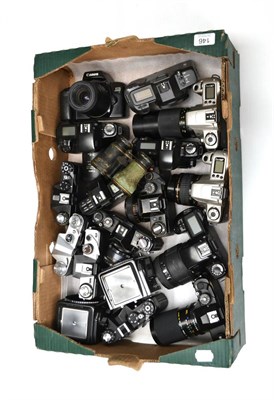 Lot 146 - Various Cameras including two Hasselblad bodies, two Canon EOS300, two Canon EOS1000F, Minolta...