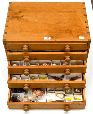 Lot 195 - Sea Shells: A Pine Five-Drawer Chest, containing a large assortment of world shells, including...