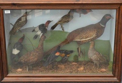 Lot 221 - A Case of Ten Taxidermy Birds, late Victorian, in later case, including Grouse, Cock Pheasant...