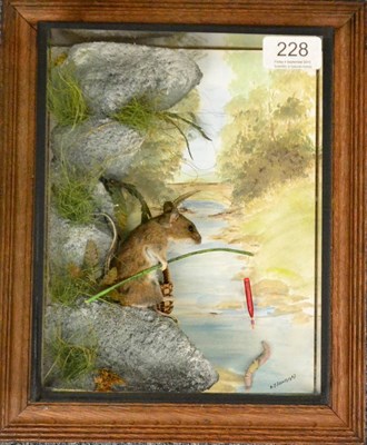 Lot 228 - A Fishing Mouse, by Tony Armistead, humorous taxidermy specimen, against faux rocks with river...