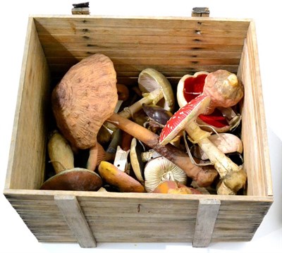 Lot 16 - Mushrooms/Toadstools A Collection Of 20 Assorted Large Plastic Models most with identification...