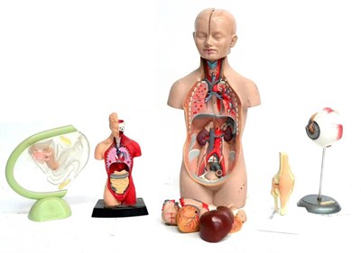 Lot 92 - Five Plastic Anatomical Models, comprising a large torso with removable organs and two piece...