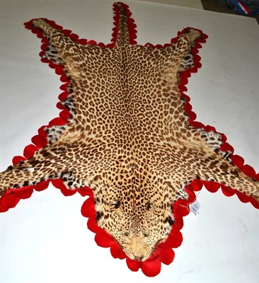 Lot 319 - Leopard (Panthera pardus), circa 1910, skin rug, with original glass inset eyes, rebacked onto...