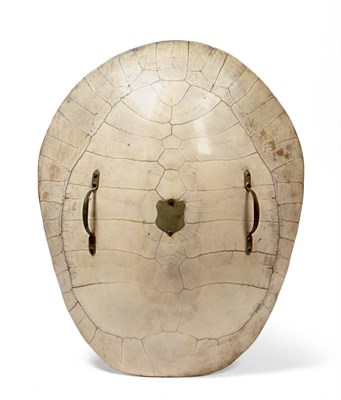 Lot 333 - Tartaruga (Podocnemis expansa), 19th century, carapace, adapted as a fire shield, comprising...